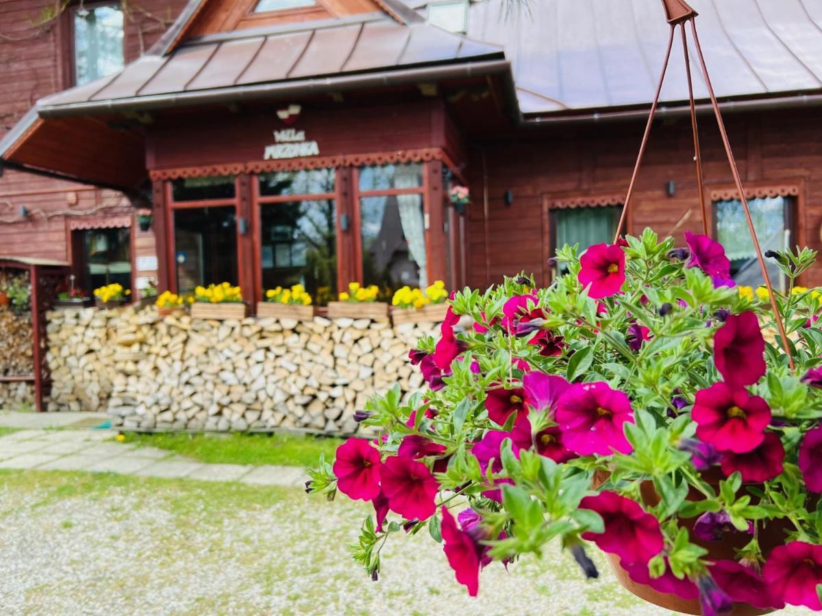 Willa Mrzonka Guesthouse Zakopane Kültér fotó