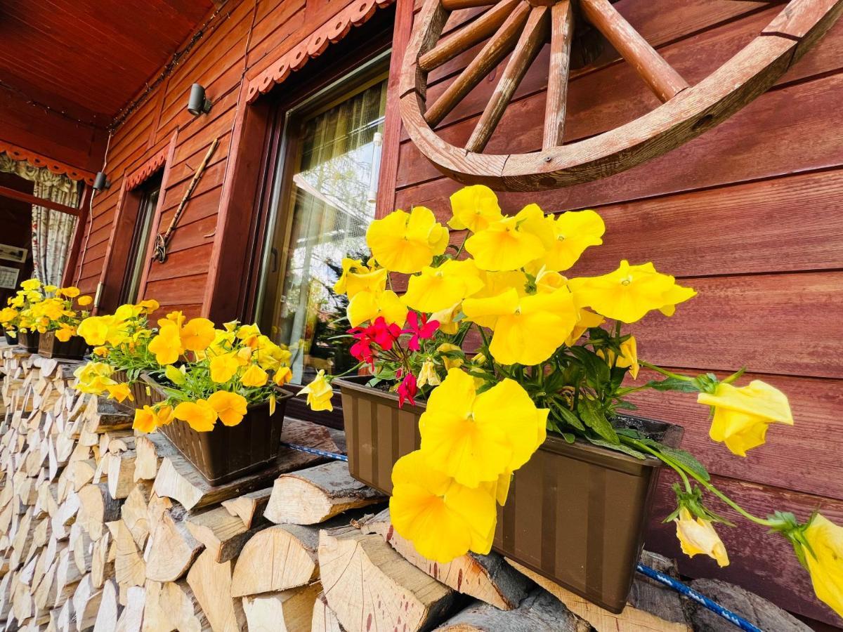 Willa Mrzonka Guesthouse Zakopane Kültér fotó