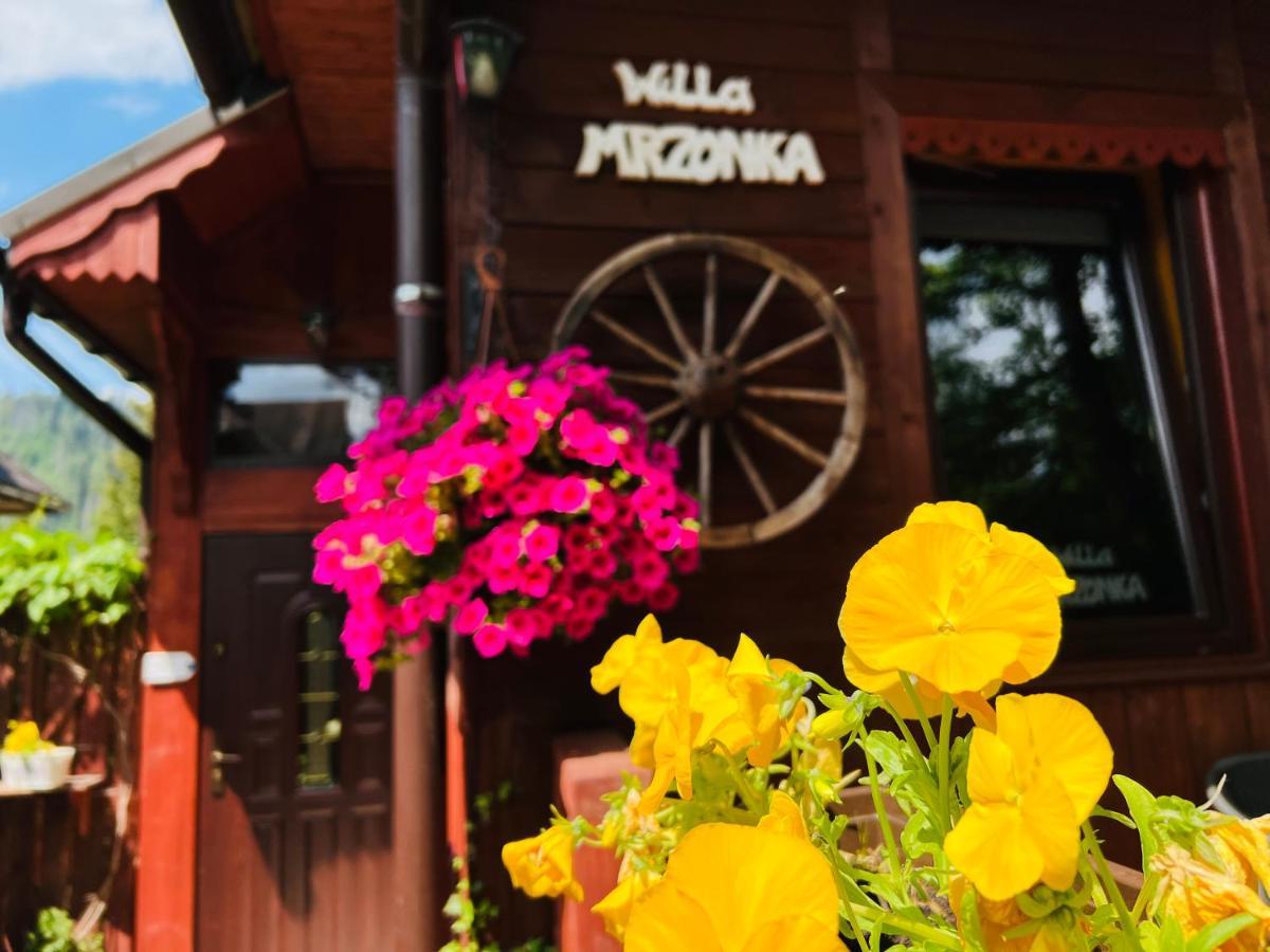 Willa Mrzonka Guesthouse Zakopane Kültér fotó
