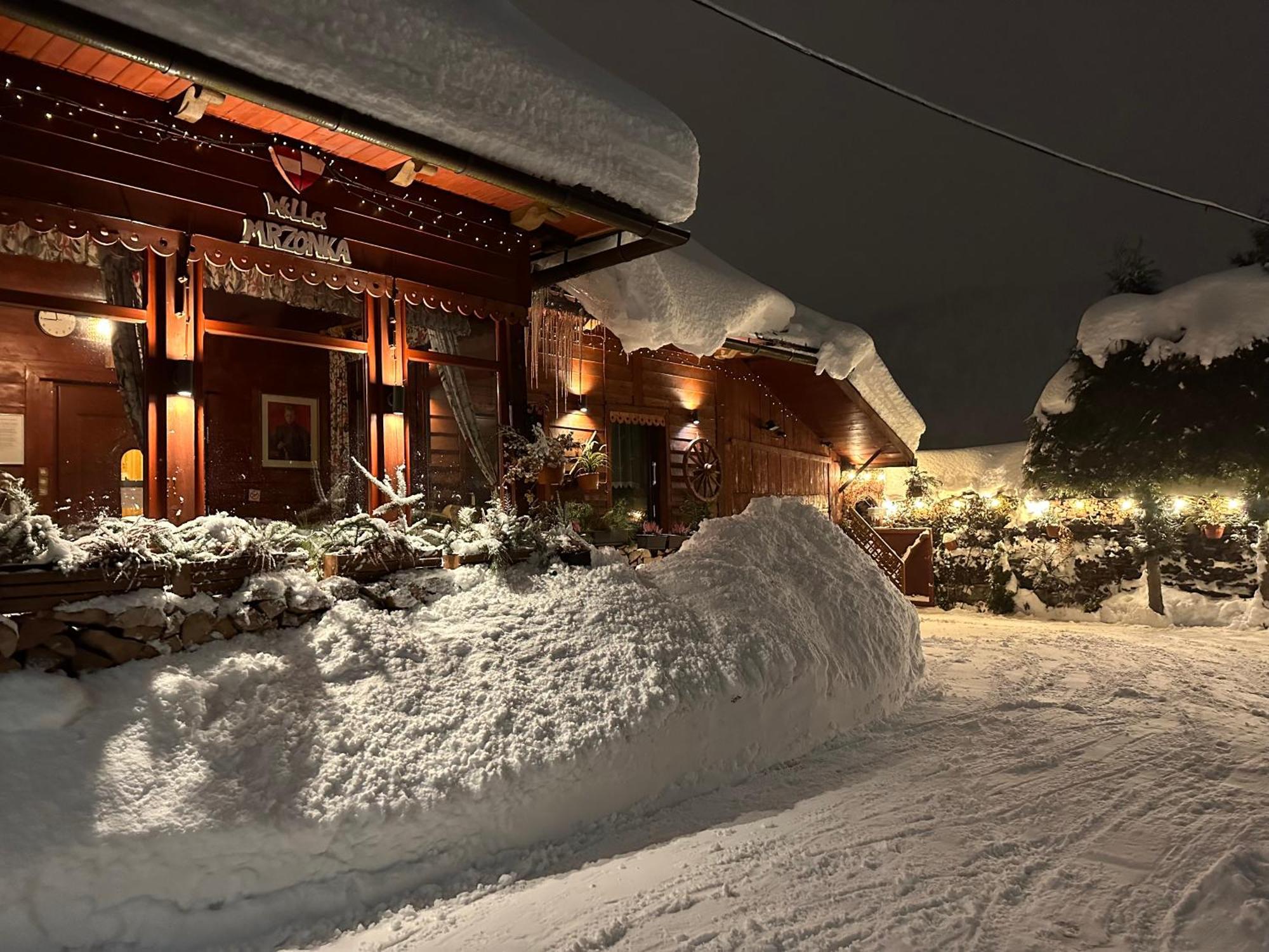 Willa Mrzonka Guesthouse Zakopane Kültér fotó