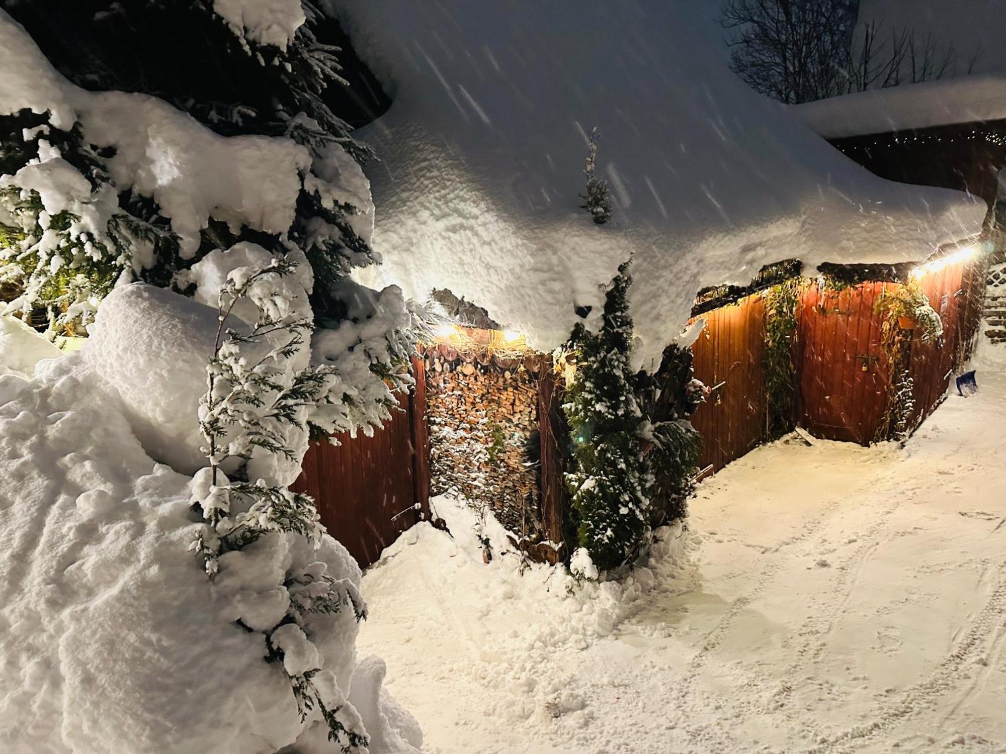 Willa Mrzonka Guesthouse Zakopane Kültér fotó
