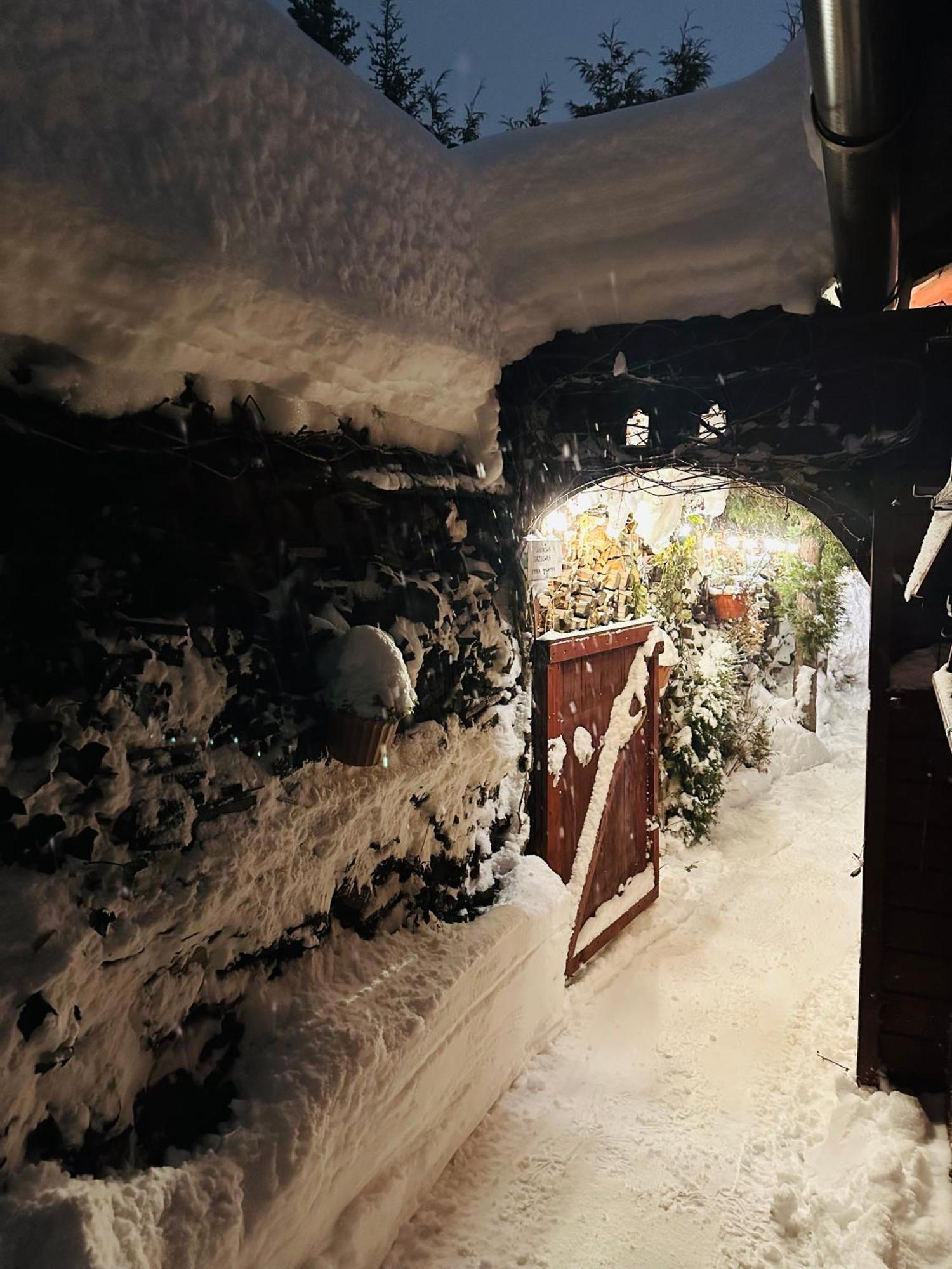 Willa Mrzonka Guesthouse Zakopane Kültér fotó